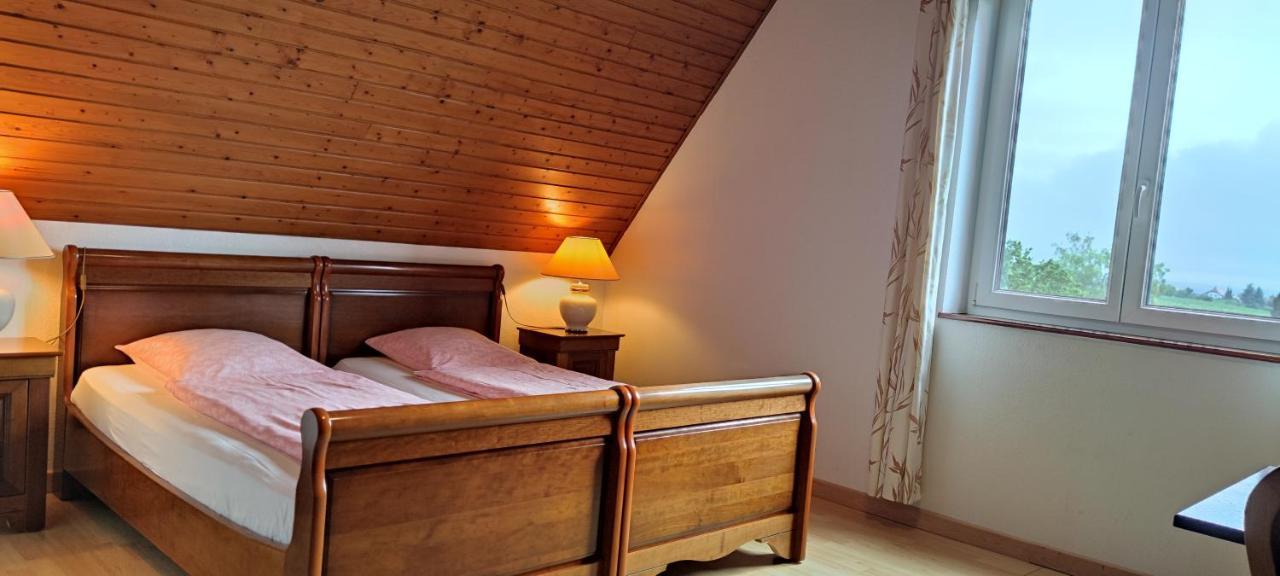 Chambre D'Hotes De La Tulipe Mittelbergheim Kültér fotó