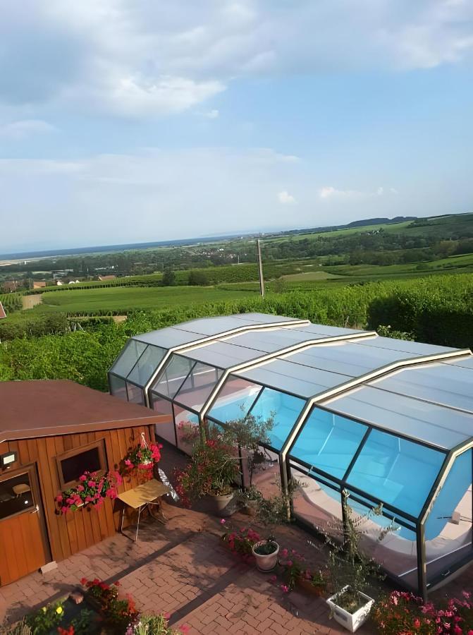 Chambre D'Hotes De La Tulipe Panzió Mittelbergheim Kültér fotó