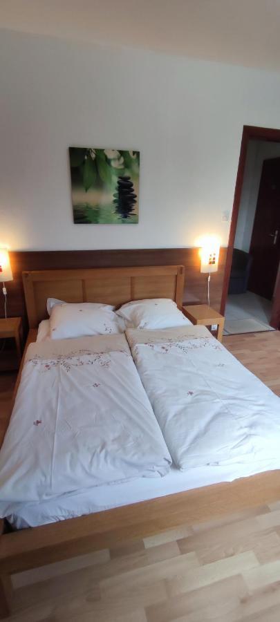 Chambre D'Hotes De La Tulipe Mittelbergheim Kültér fotó